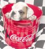 coca poubelle